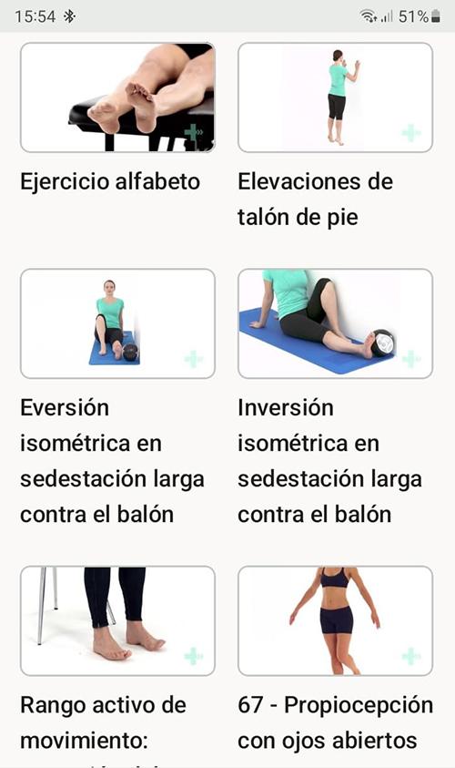 Programa de ejercicios en línea Pinzamiento anterior del tobillo